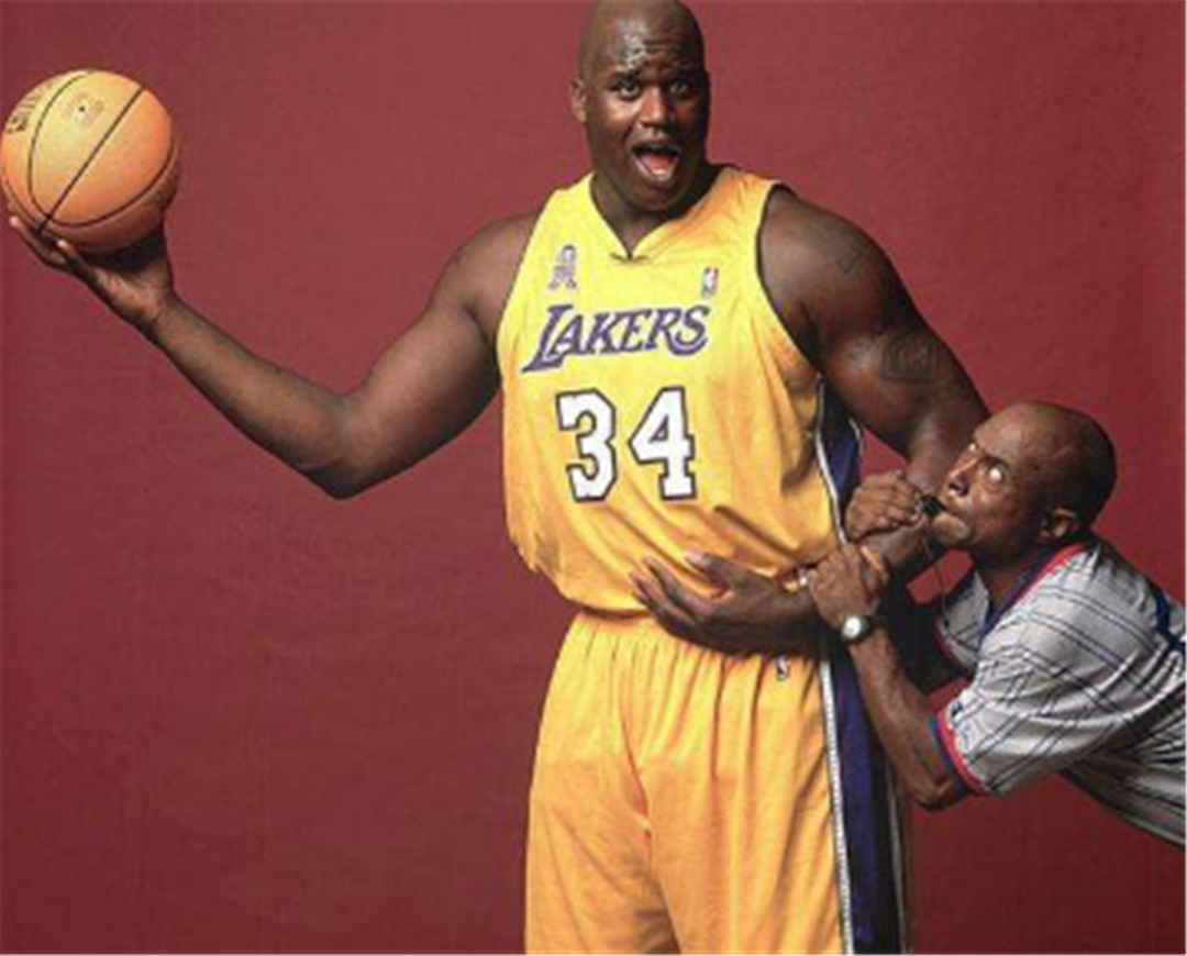 图片报：拜仁目前关注南美市场，考察了前锋拉扬和左后卫索萨（《图片报》：拜仁聚焦南美市场，已考察前锋拉扬与左后卫索萨）